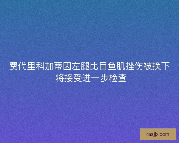 费代里科加蒂因左腿比目鱼肌挫伤被换下 将接受进一步检查